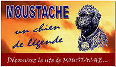 Logo_site_moustache_bis