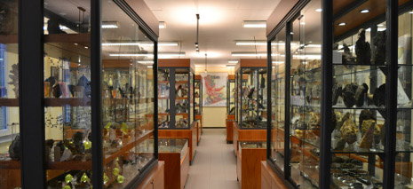 museo de geología uoviedo
