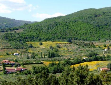 san-martin-de-trevejo-vista-desde-el-puerto_