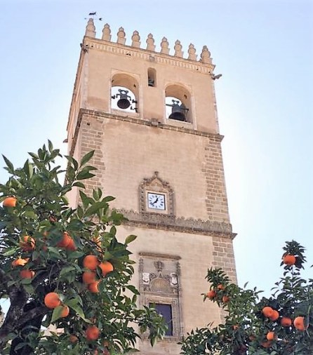 12743526_431319347063787_5893584540459493467_n