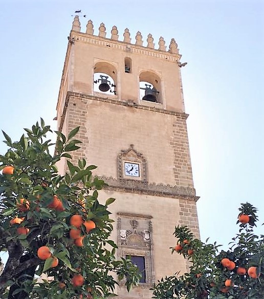 12743526_431319347063787_5893584540459493467_n