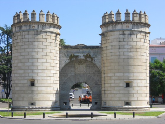 puerta palmas1