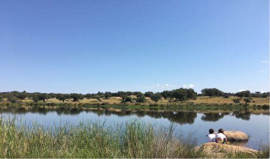 936A86B3-B67B-4F68-8A31-4E25EC5BB32A