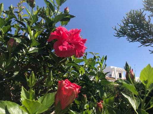 00E226F0-FEAA-44E4-8072-876B01C73ABD