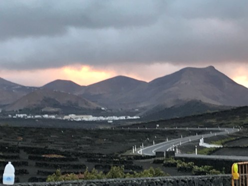 28F8B31C-CBDD-4F50-9A31-AF064202EC75