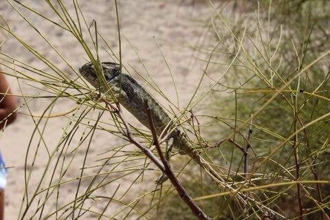 40257595-9DAA-40FB-9BD5-B93F146C4705