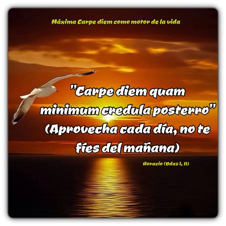 688A0DFF-D1B9-4EB7-BF75-D0959AA4B7C6