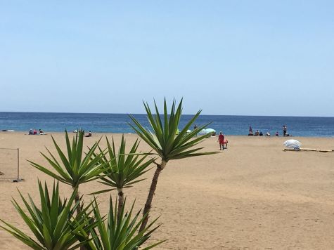 99826B2D-8106-4496-8015-C01EFF8D808A