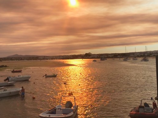 EA044FAA-3ABB-48F4-B9C6-59E731FDFB6E