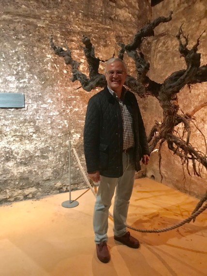 E749FE7E-AB92-43BB-9077-C799A66D002C