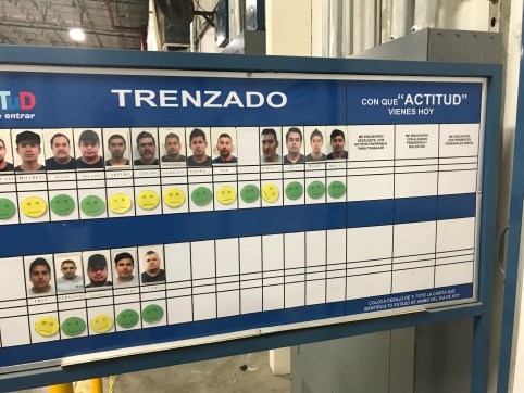 435fc767-9db6-4d79-9c3c-5b513f7dbe02