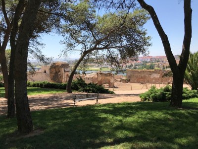 3ABA2E2F-7044-4595-9F14-984699D1023B