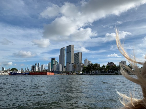 83D20762-E4E8-4477-9CCB-F3E83186D16C