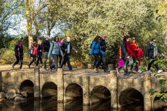 261D17B9-E9CE-46BE-8EBB-AFDC77976C22