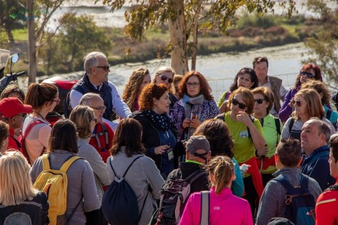 E54FD341-5A84-4798-93E5-B1B3AA21D17D