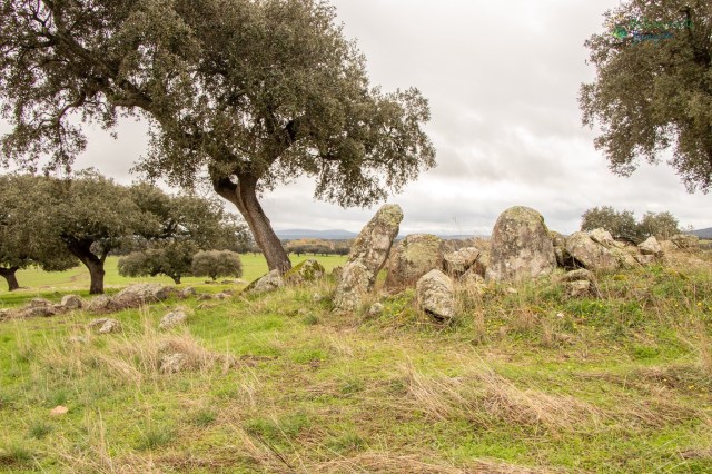 119DCECF-9F3A-4B1A-A667-C3756FD3E5DC