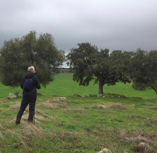 395C1A4F-86D4-4CCD-B4B6-6E8B35C0AFB7