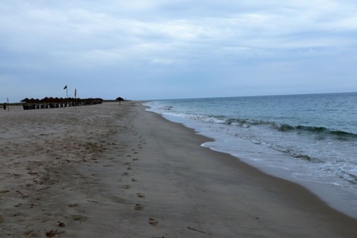 6022A869-CFF7-484B-AAED-C09A99D03371