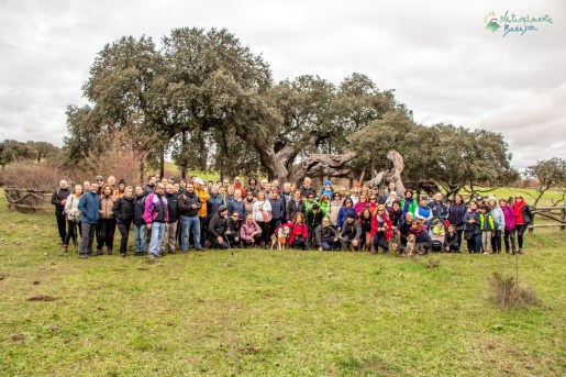 AD242935-B8AF-4C85-8576-40E18BF99D73